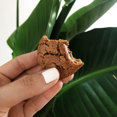 Cassava Flour Cookies