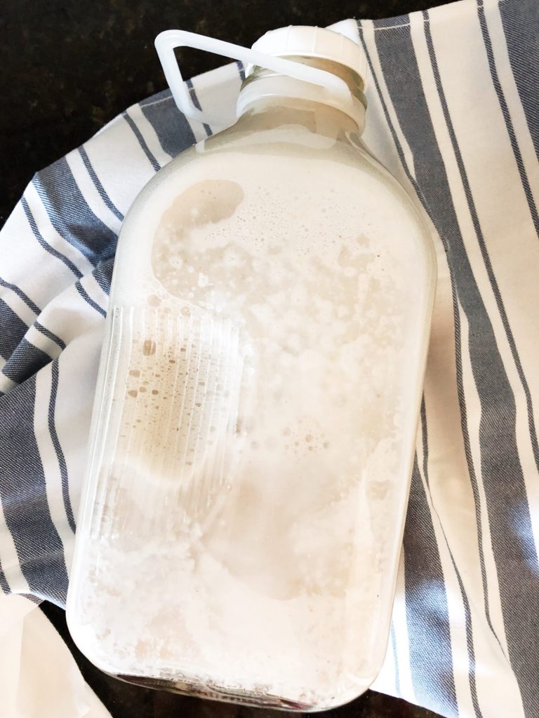 Nut Seed Milk by Sarah Bridgeman - FoodSocial