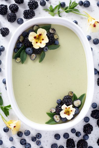 Coconut Matcha Panna Cotta