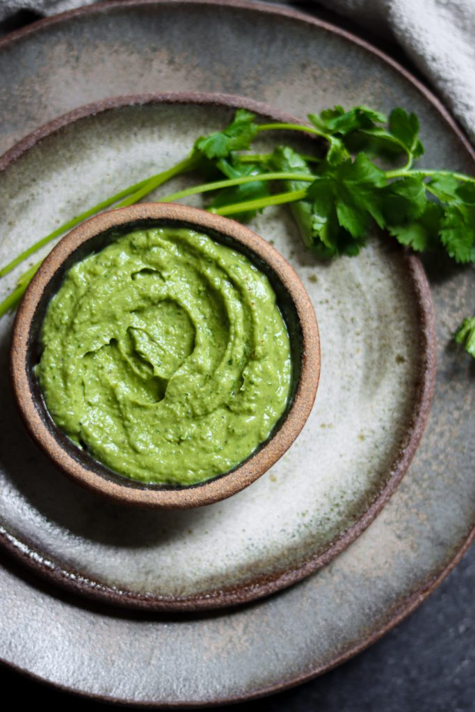 Creamy Cilantro Chutney / Avocado Chutney by Shivangi Rao - FoodSocial