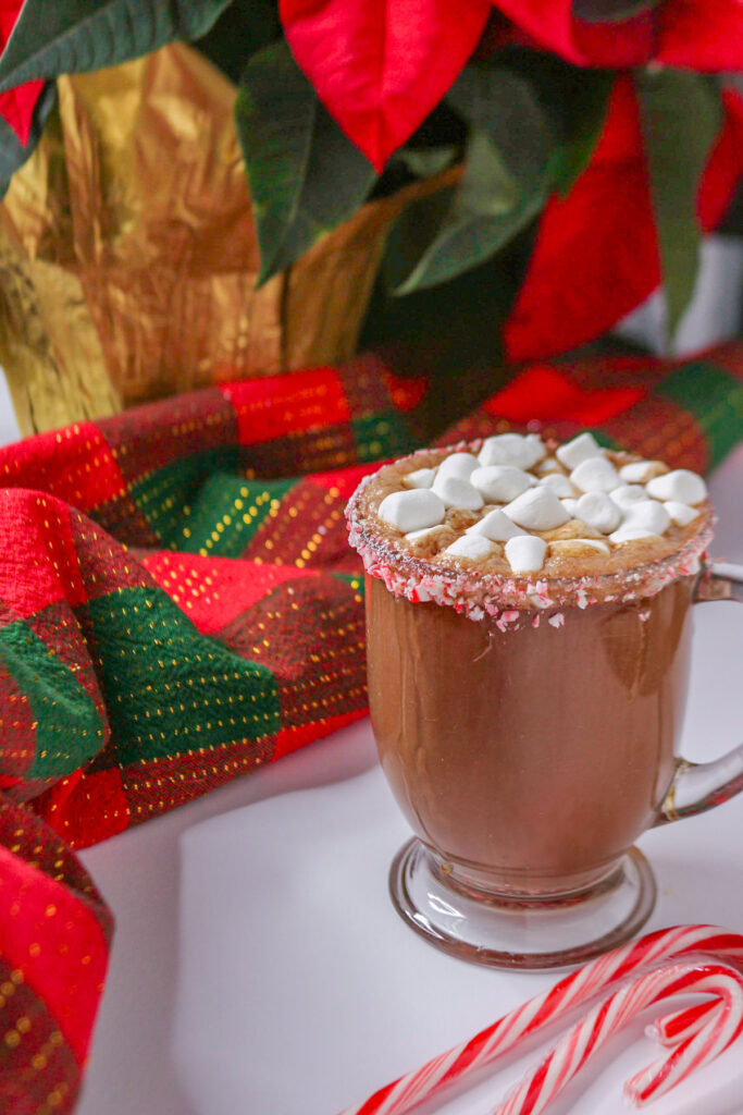 Rich and Creamy Peppermint Hot Chocolate (Dairy-Free) by Everyday Latina - FoodSocial