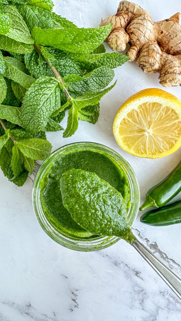 Indian Green Chutney (Cilantro Mint Chutney) by Priyanka Nadkarni - FoodSocial