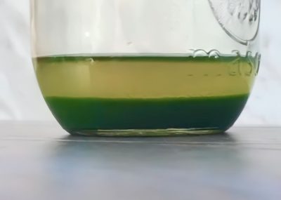 Homemade Pandan Extract Using Fresh Leaves