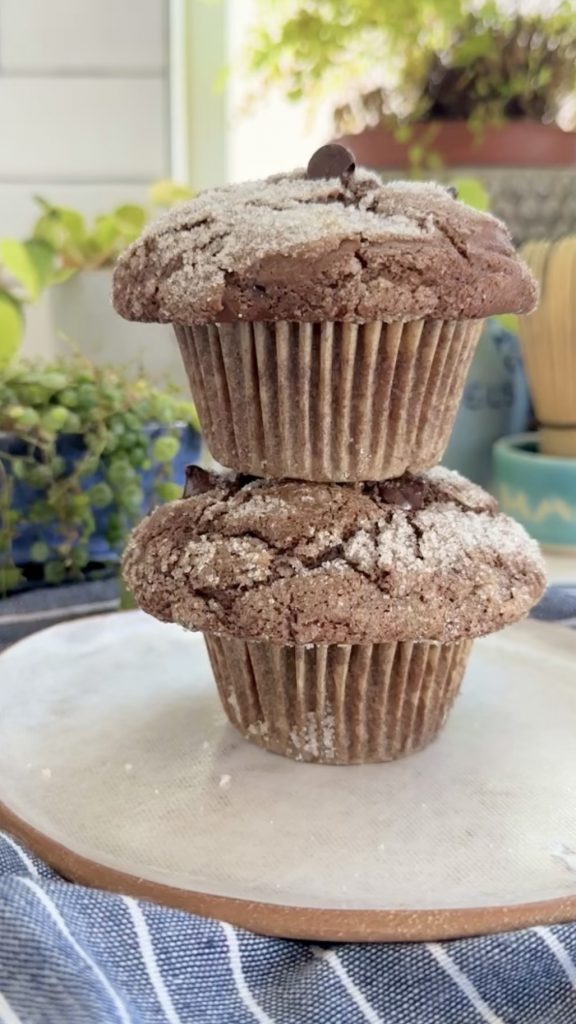 Gluten Free Chocolate Chocolate Chip Muffins by Back Porch Paleo - FoodSocial
