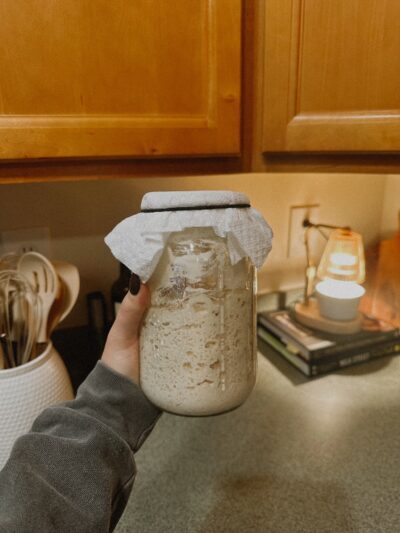 Gluten Free Sourdough Starter