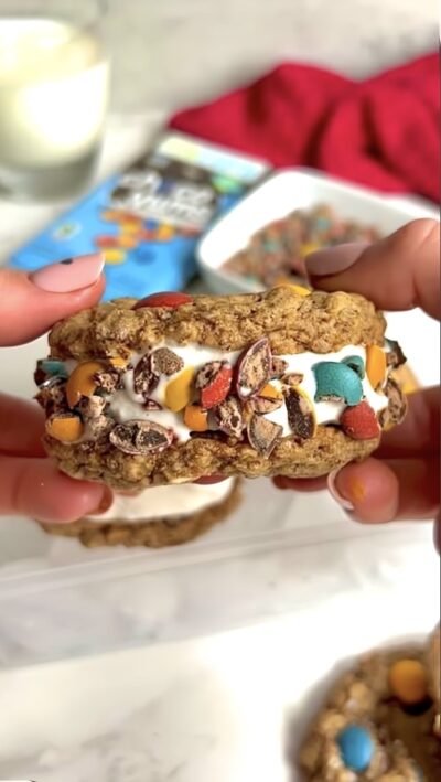 Top 9 Allergen Free Ice Cream Cookie Sandwiches