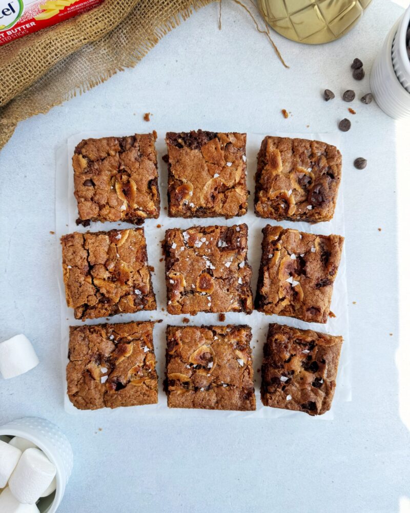 Dairy-Free S’mores Bars by Riri's Recipes - FoodSocial
