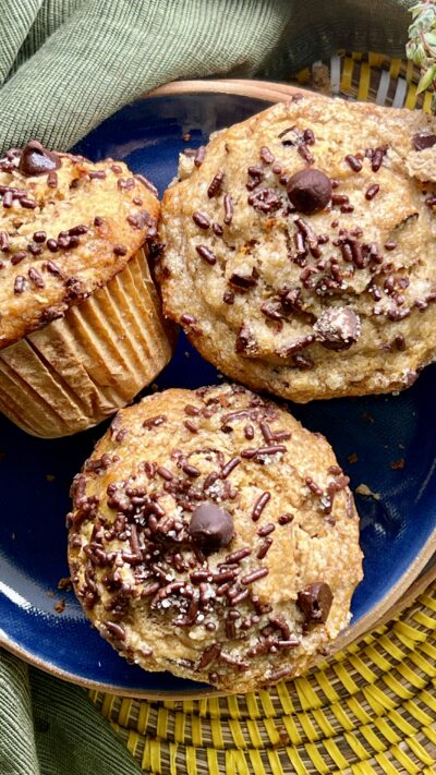 Chocolate Chip Muffins (Paleo/gluten free)