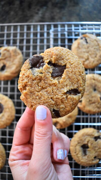 Chocolate Chip Peanut Butter Cookies