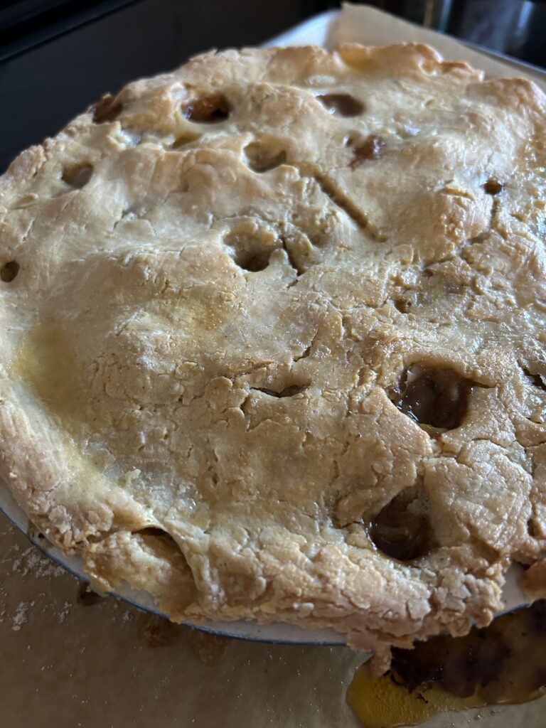 Gluten Free Pie Crust by Aloha Healthy Eats - FoodSocial