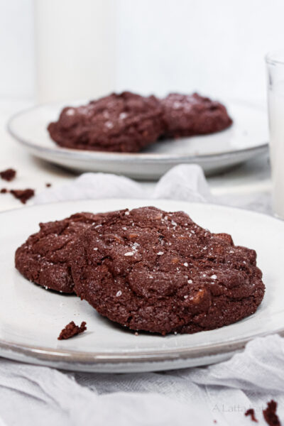 Double Chocolate Cookies (Gluten-Free & Dairy-Free)