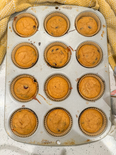 Pumpkin Chocolate Chip Muffins