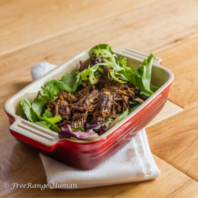 Crock Pot Shredded Beef