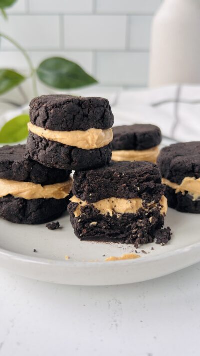 Peanut Butter Oreo Cakesters (GF/DF/High Protein)