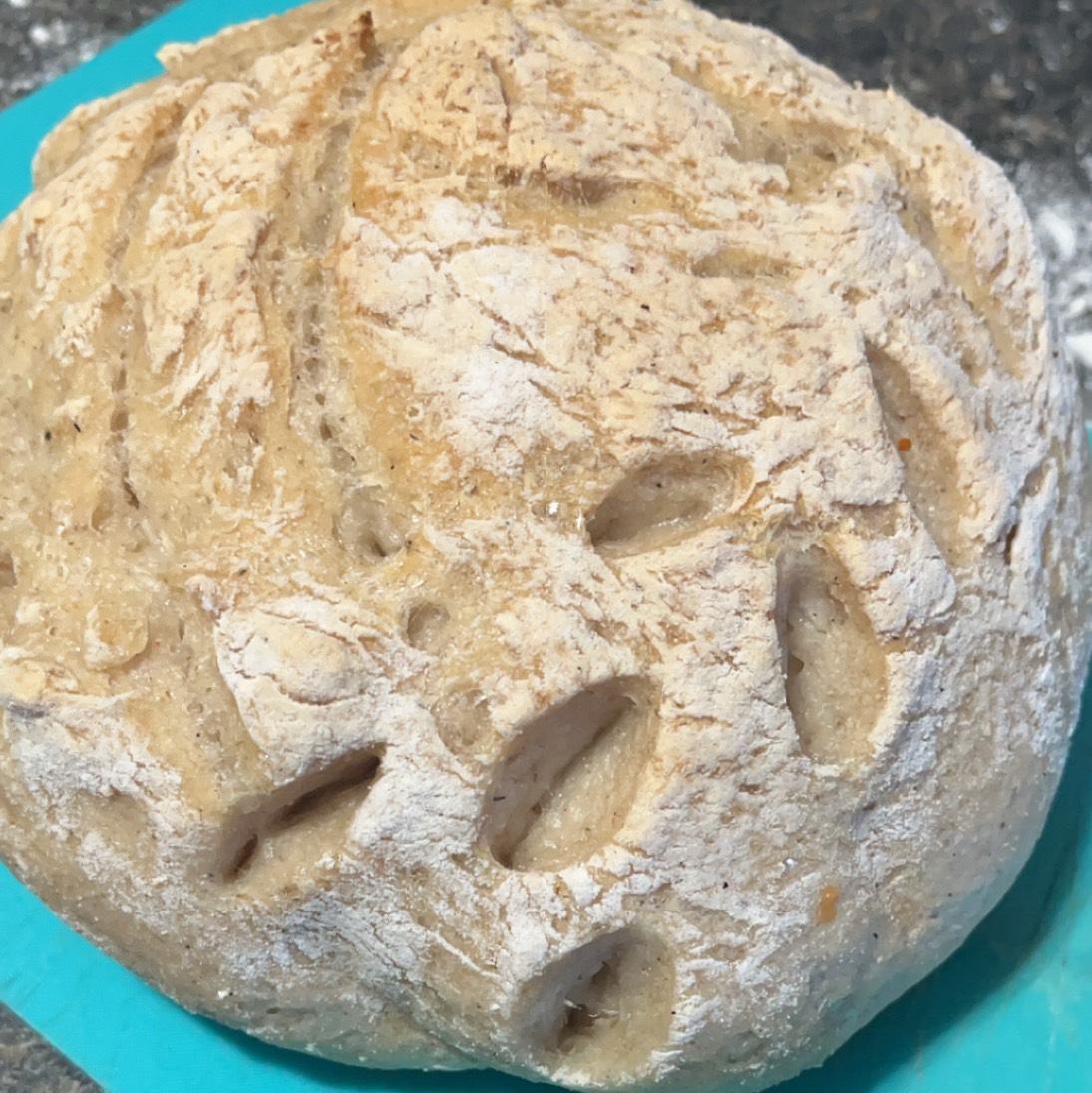 Head Shot: Sarah Whitford