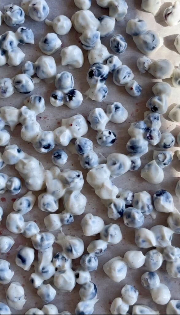 Frozen Yogurt Blueberries by Bridgette.eats.plants - FoodSocial