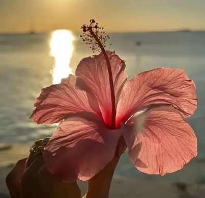 Head Shot: Elise Ebens