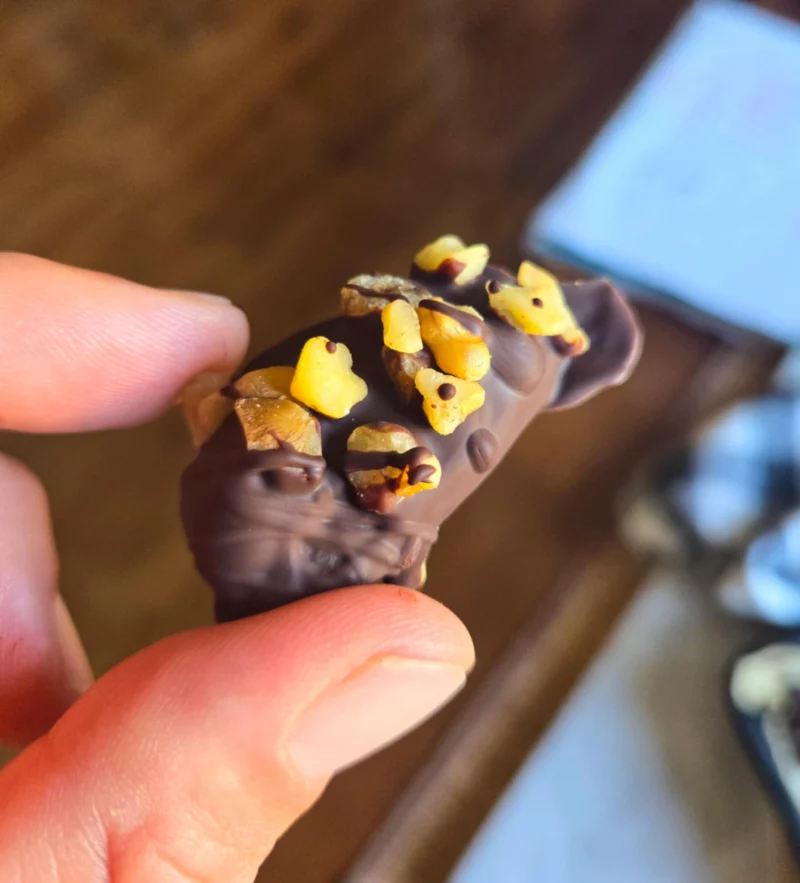 Dark Chocolate Date Bites by the_happy_veg - FoodSocial