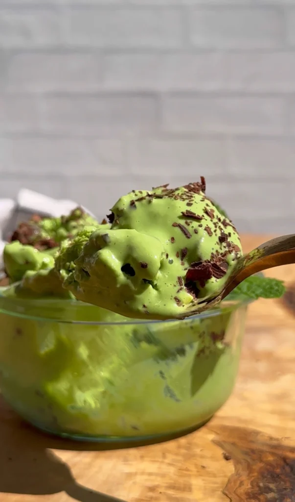 Mint Chip Ice Cream by Bridgette.eats.plants - FoodSocial
