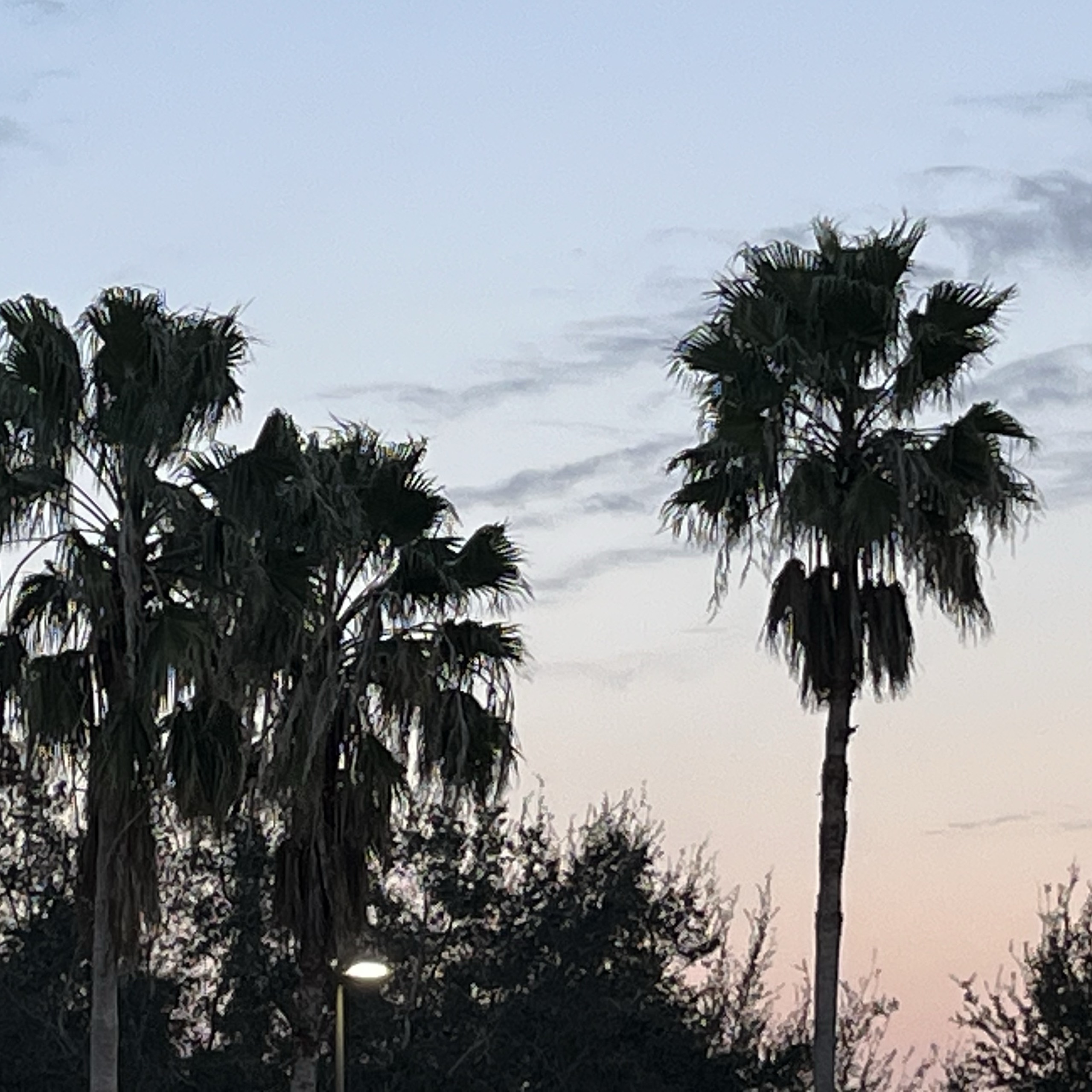 Head Shot: Bienna Duncan