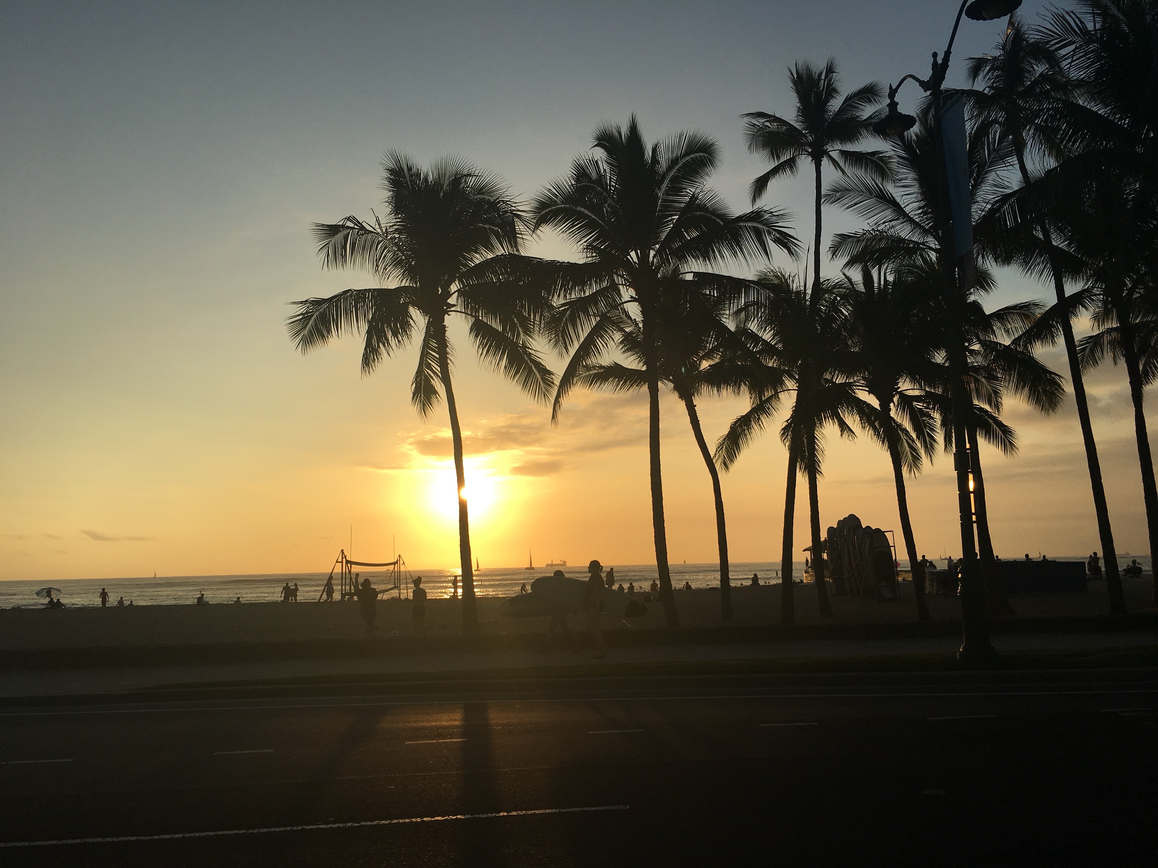 Head Shot: Dana Mitchell