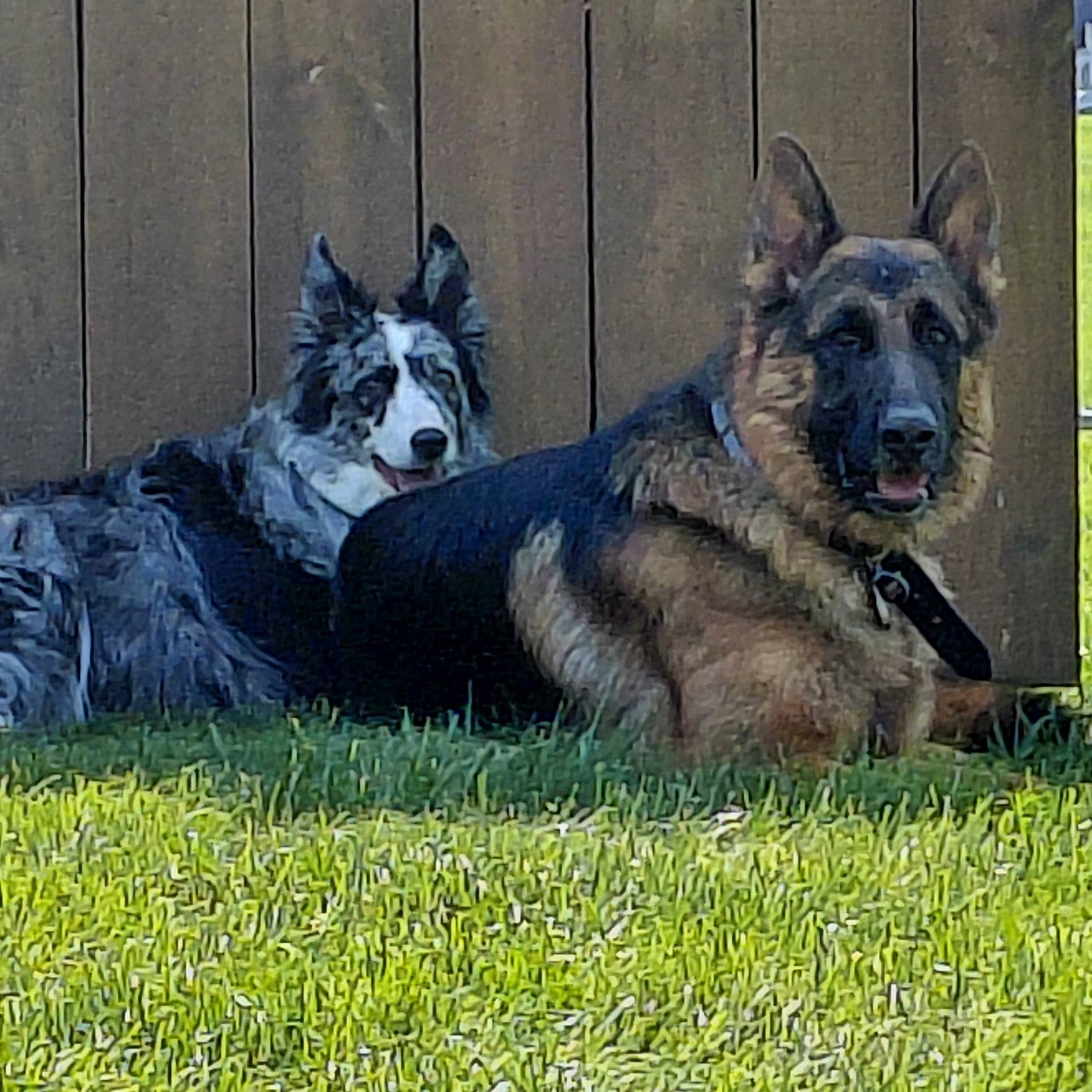 Head Shot: Barbara Ervin