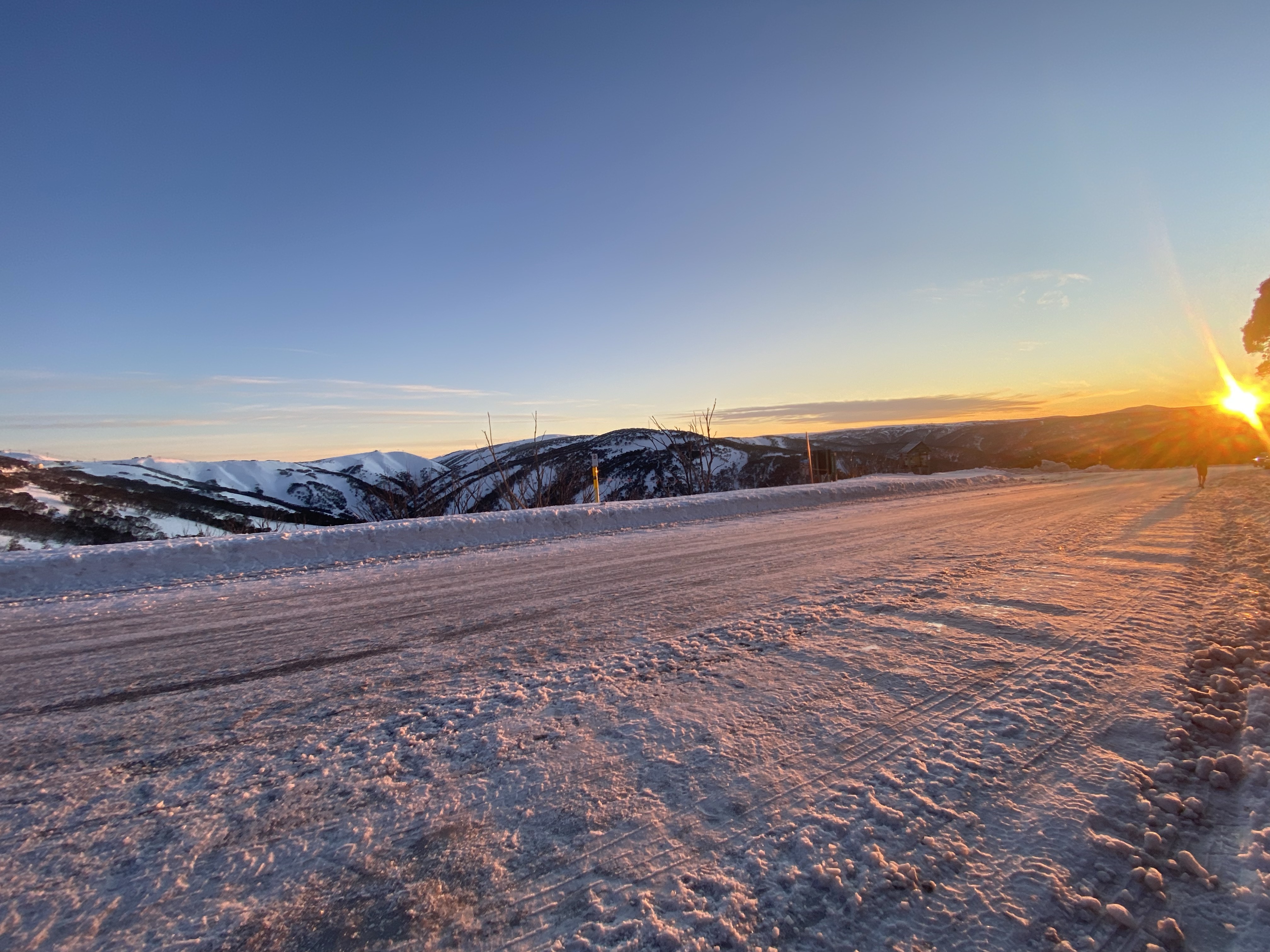 Head Shot: Heidi McDonald