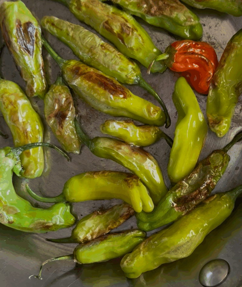 Blistered Shishito Peppers by Morgan Oliveto - FoodSocial