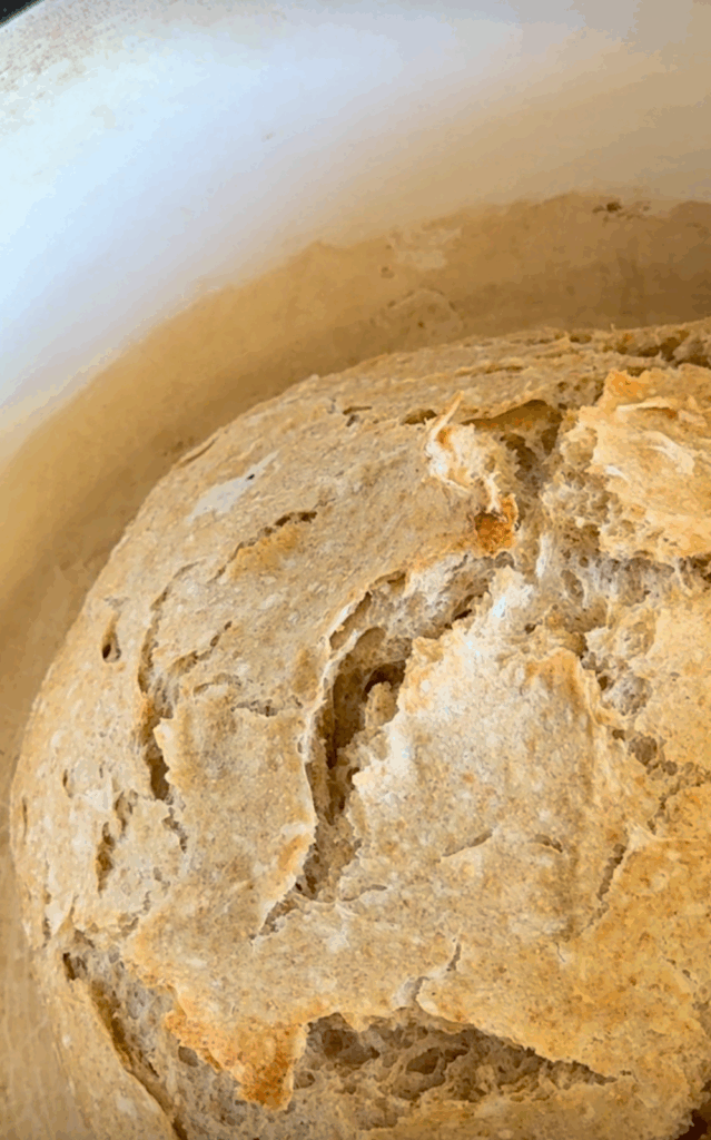 Easy Cast Iron Bread by Morgan Oliveto - FoodSocial
