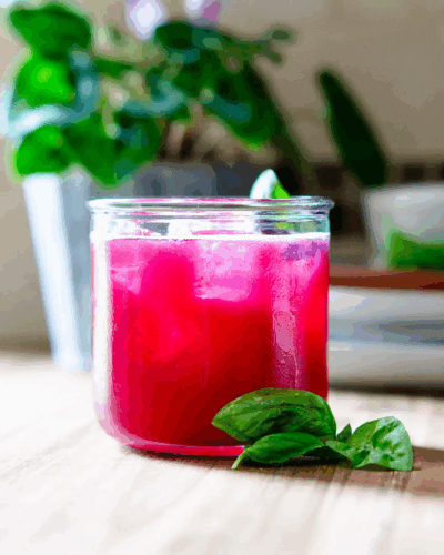 Blueberry Lemon Basil Mocktail