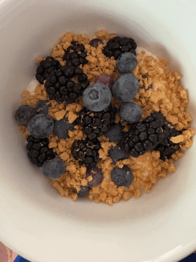Berry Cheesecake Protein Bowl