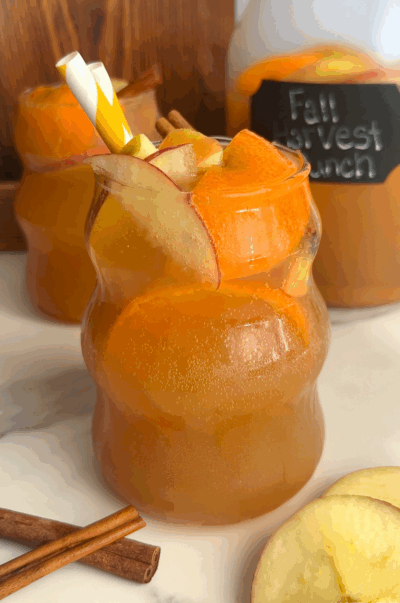 Sparkling Fall Harvest Punch