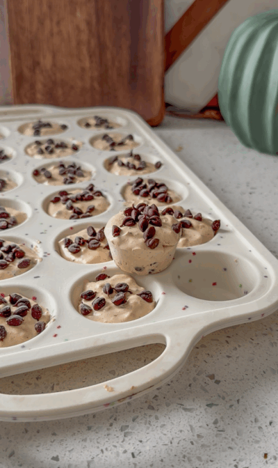 Peanut Butter Protein Bites