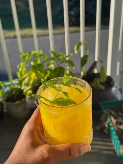Mango mojito
