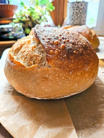 Artisan Cornmilk Sourdough Bread
