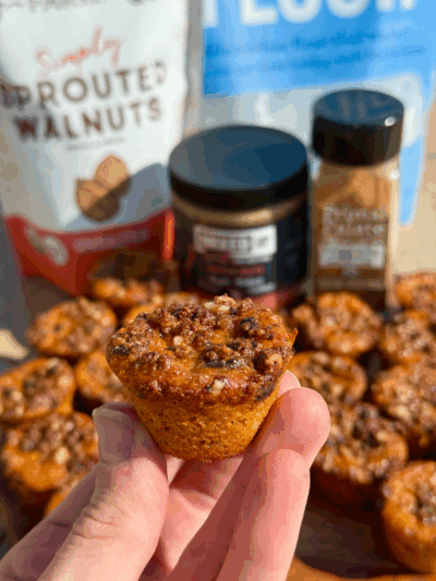 mini pumpkin chocolate chip streusel protein muffins