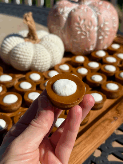 mini pumpkin pie protein bites