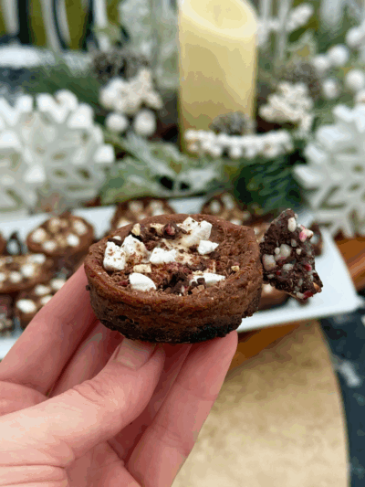 hot chocolate protein cheesecake bites