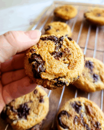 Soft Batch Gluten Free Low Carb Chocolate Chip Cookie