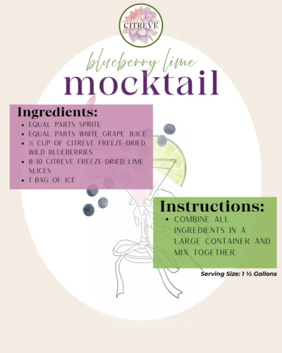 Blueberry Lime Mocktail