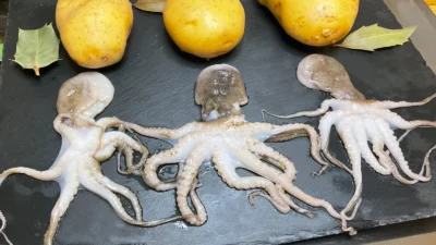 Mini Octopus Recipe