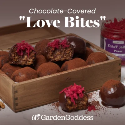 Chocolate Covered “Love Bites” Using Dehydrated Sauerkraut