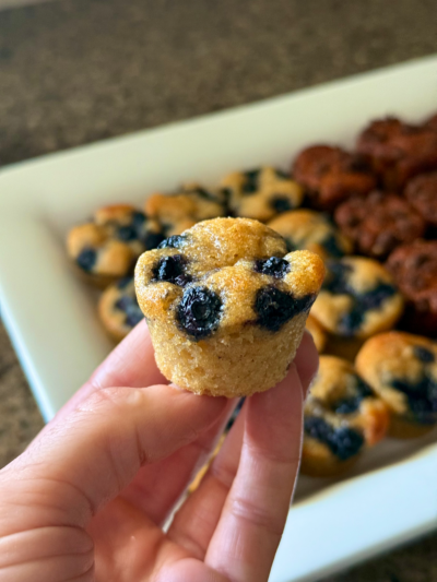 little bites protein muffins