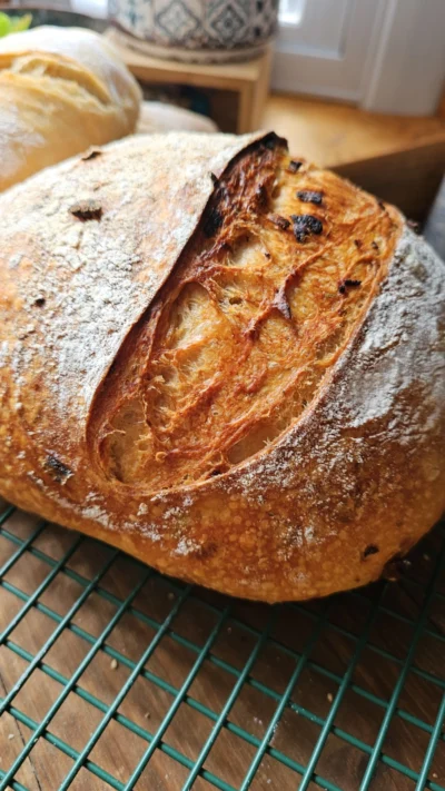 Chili Oil Crisp with Green Onion Sourdough Bread