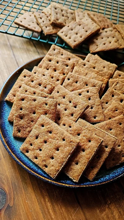 Sourdough Date Graham Crackers (low sugar)