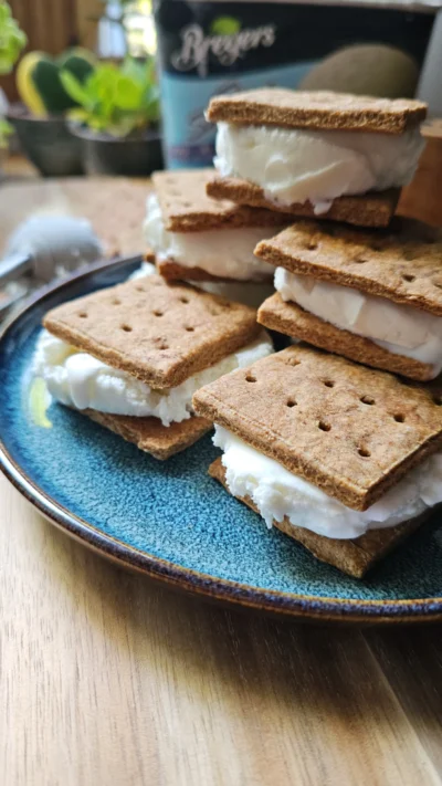 Mini Sourdough Date Graham Cracker Ice Cream Sandwiches