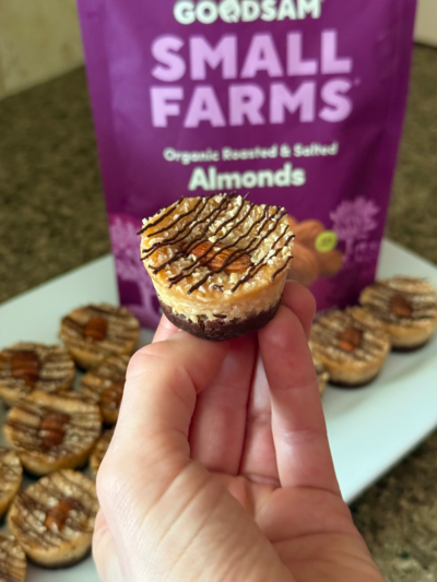 almond joy protein cheesecake bites