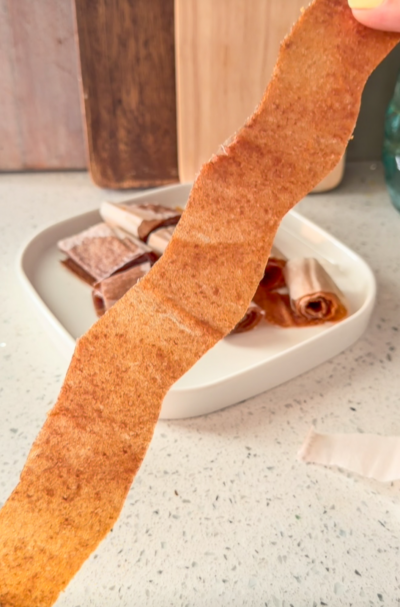Homemade Fruit Roll Ups