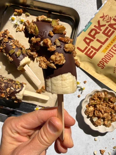 Chocolate Banana Pops