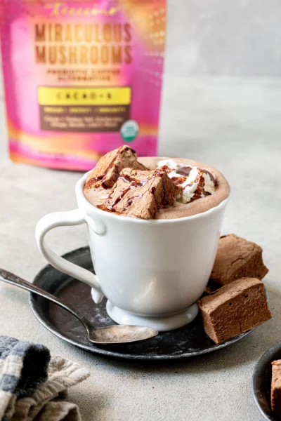 Homemade Cacao Mushroom Marshmallows